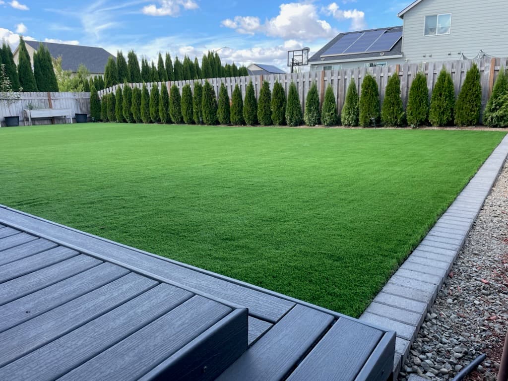 Residential lawn under GI maintenance