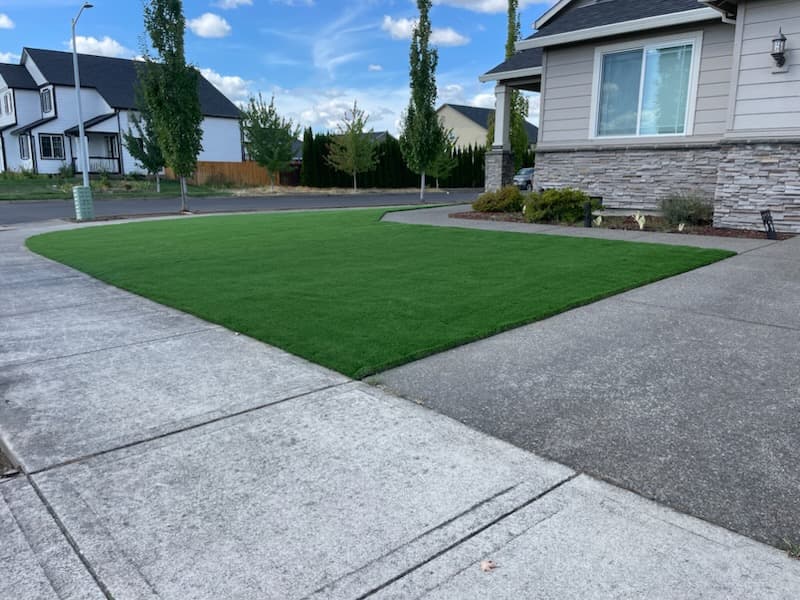 Premium artificial turf install — pet-friendly