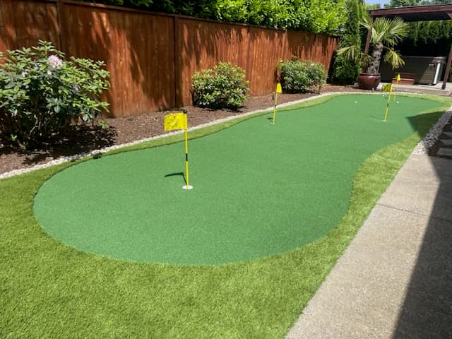 Artificial turf lawn — GI Landscape
